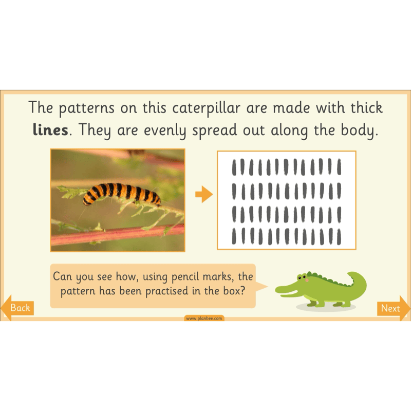 PlanBee Animal Art KS1 | Art Lesson Pack