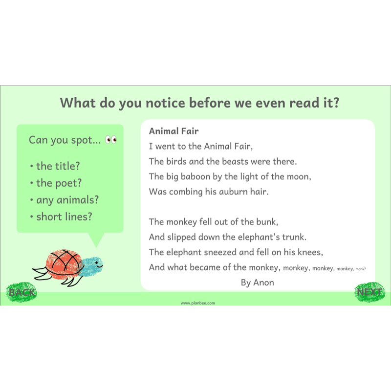 PlanBee Animal Poetry KS1 English Lesson Pack