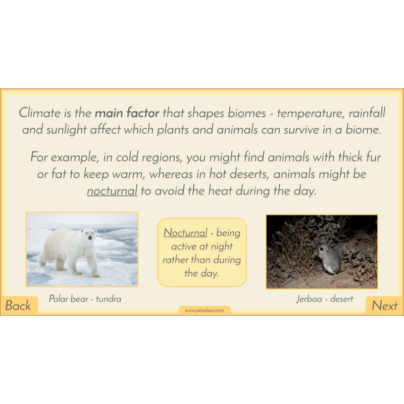 PlanBee Biomes KS2 Geography Lessons