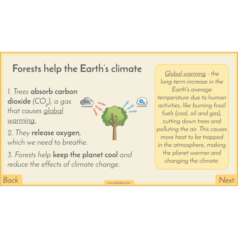 PlanBee Biomes KS2 Geography Lessons