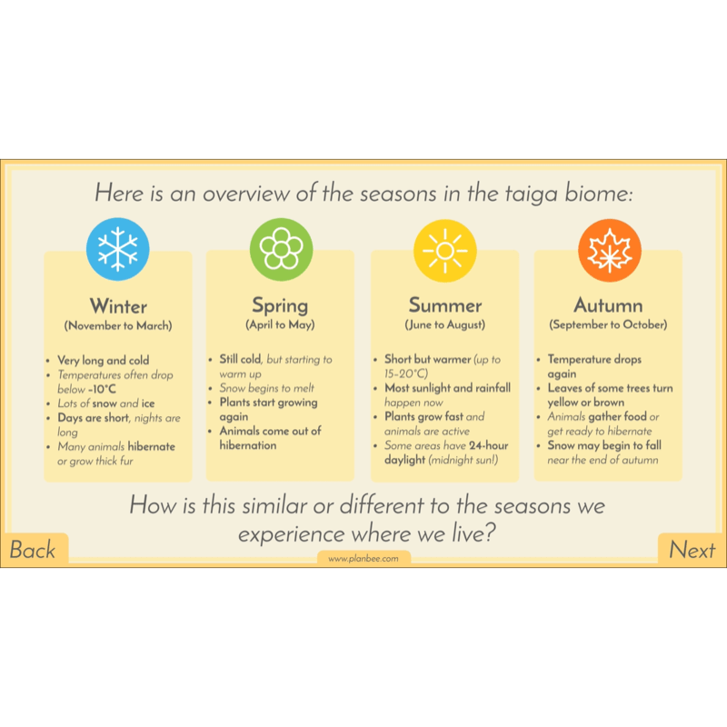 PlanBee Biomes KS2 Geography Lessons