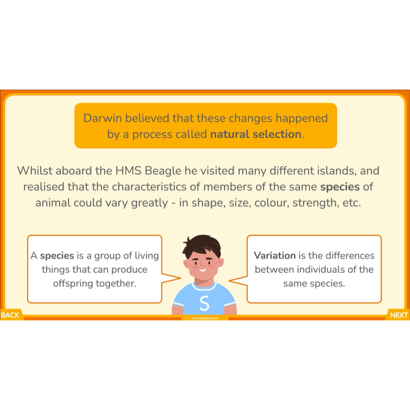 PlanBee Charles Darwin KS2 Lesson Pack