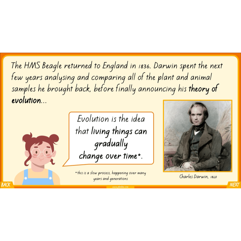 PlanBee Charles Darwin KS2 Lesson Pack