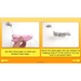PlanBee Dinosaurs Topic KS2 Enrichment Lesson Pack