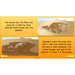 PlanBee Dinosaurs Topic KS2 Enrichment Lesson Pack