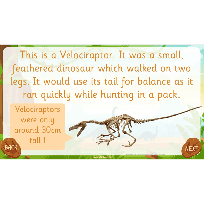 Dinosaurs KS1 Topic Enrichment Pack