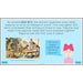 PlanBee Early Civilisations KS2 History lessons | PlanBee