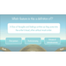 PlanBee Floodland: Character Analysis KS2 | English Lesson Pack