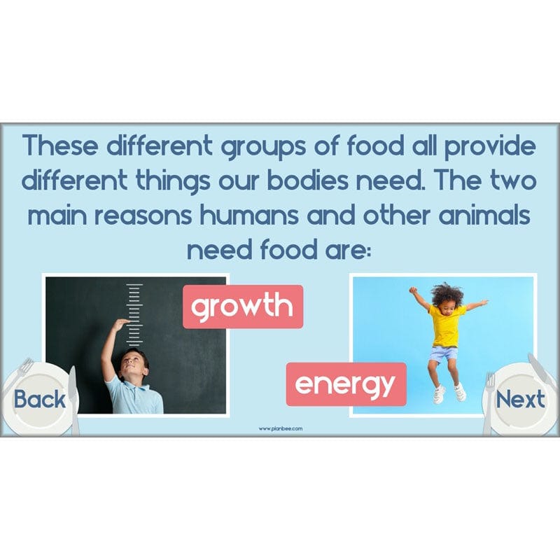 PlanBee Animals Including Humans Year 3 Science Lessons by PlanBee