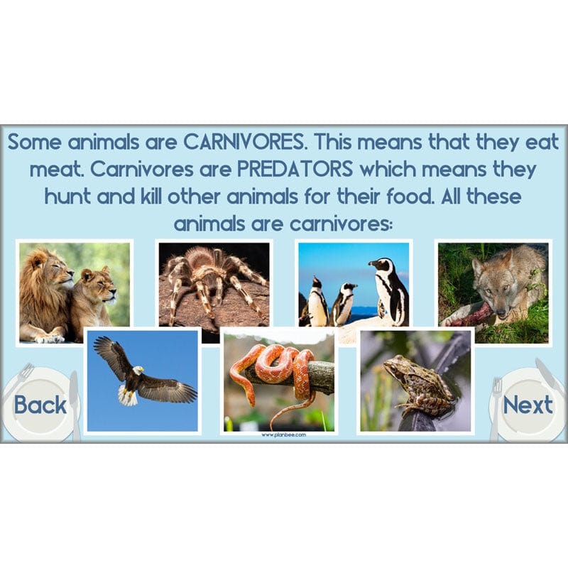 PlanBee Animals Including Humans Year 3 Science Lessons by PlanBee