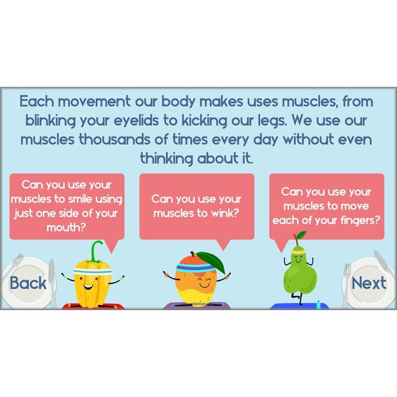 PlanBee Animals Including Humans Year 3 Science Lessons by PlanBee