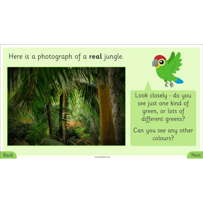 PlanBee Henri Rousseau KS1 Art Lessons