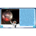 PlanBee Space KS2 History lessons | Y5/6 | PlanBee