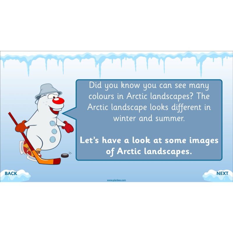 PlanBee In the Arctic Topic KS1 Enrichment Lesson Pack