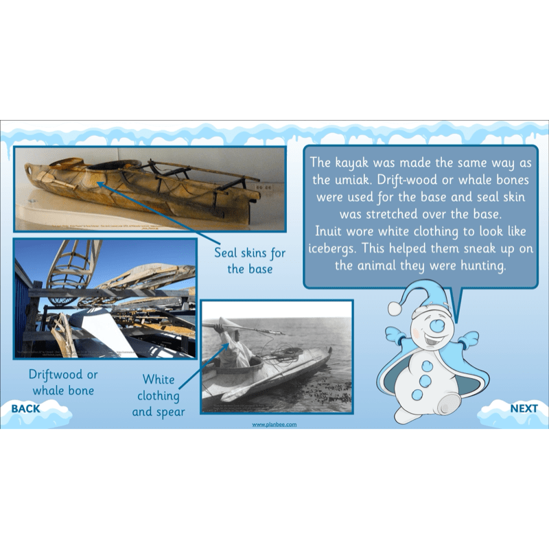PlanBee In the Arctic Topic KS1 Enrichment Lesson Pack