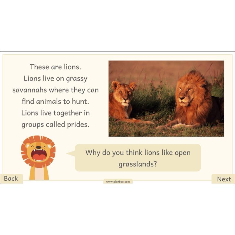 PlanBee Let's go on Safari | Kenya KS1 Geography Lesson Pack