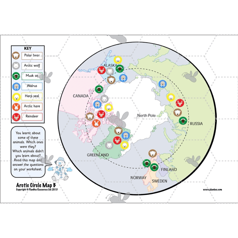 Let's go to the Arctic