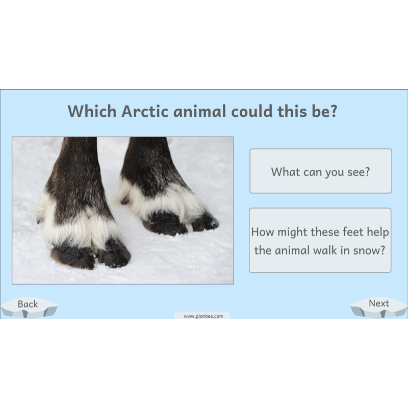 PlanBee Let's go to the Arctic KS1 Geography Lesson Pack