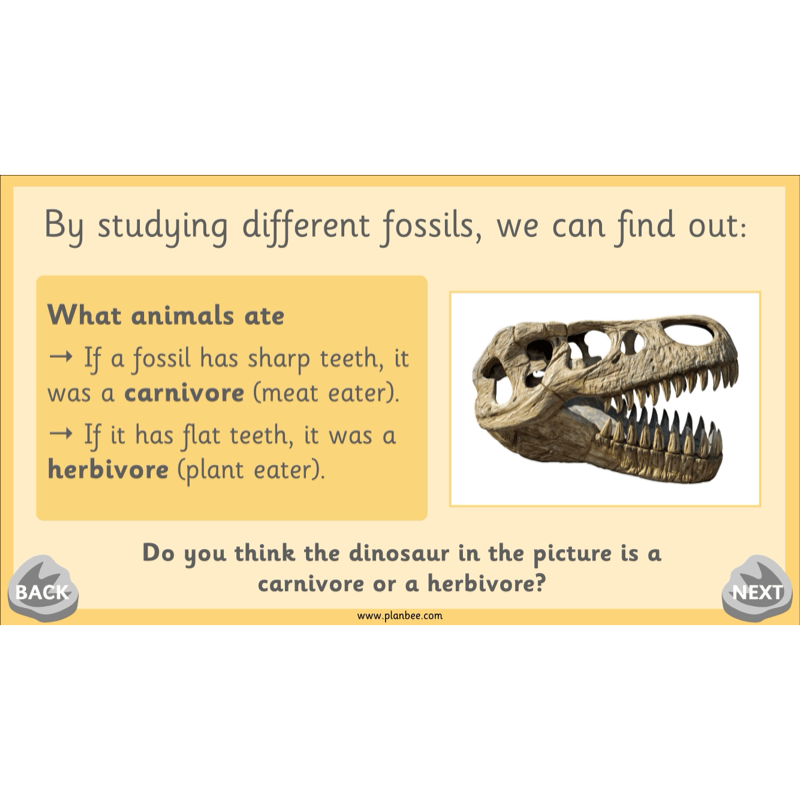 PlanBee Mary Anning KS1 | History Lesson Pack 