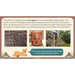 PlanBee KS2 Ancient Maya Civilisation Topic Lessons by PlanBee