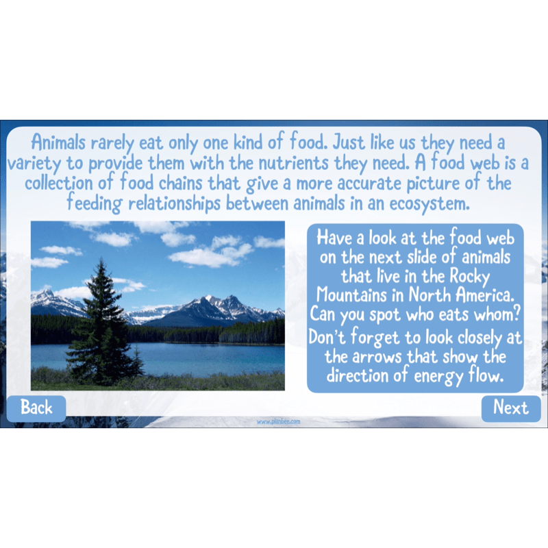 PlanBee Mountain Science KS2 | Food Chains, Adaptation & Life Cycles