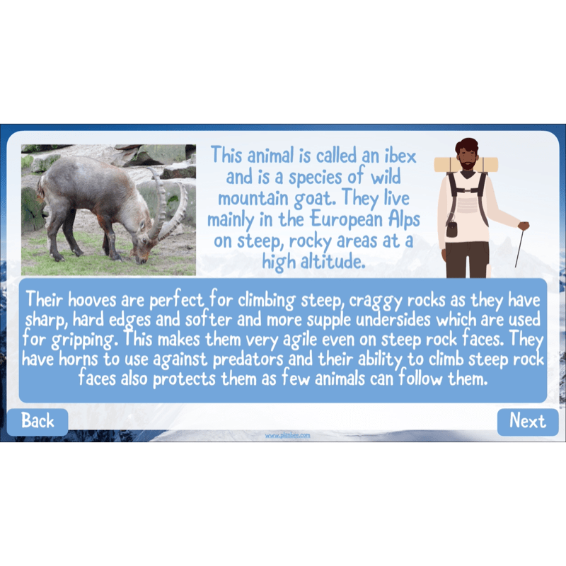 PlanBee Mountain Science KS2 | Food Chains, Adaptation & Life Cycles