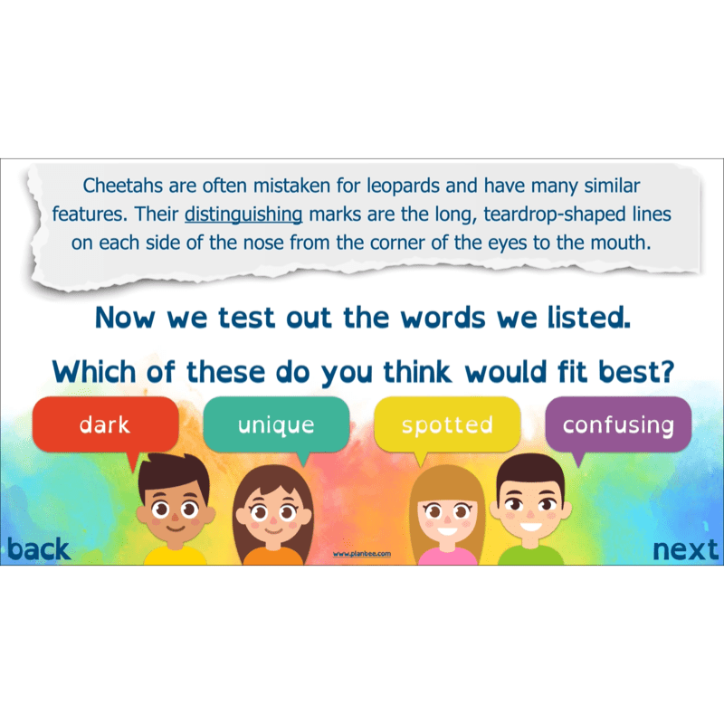 PlanBee Non-chronological Reports Year 6 English Planning