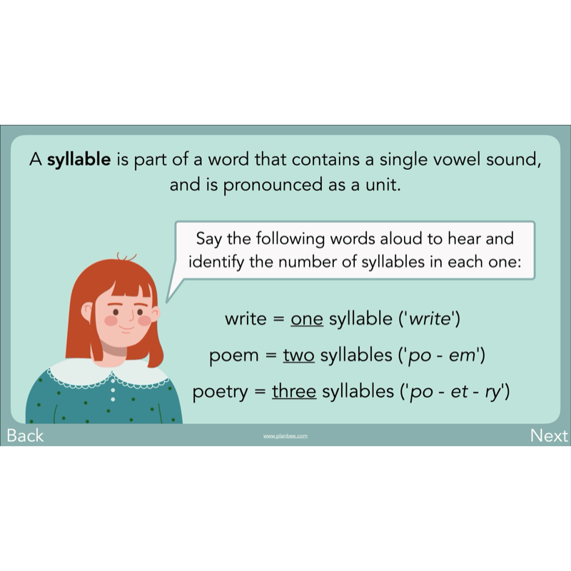 PlanBee Year 3 Patterns in Poetry | Investigating Types of Poems