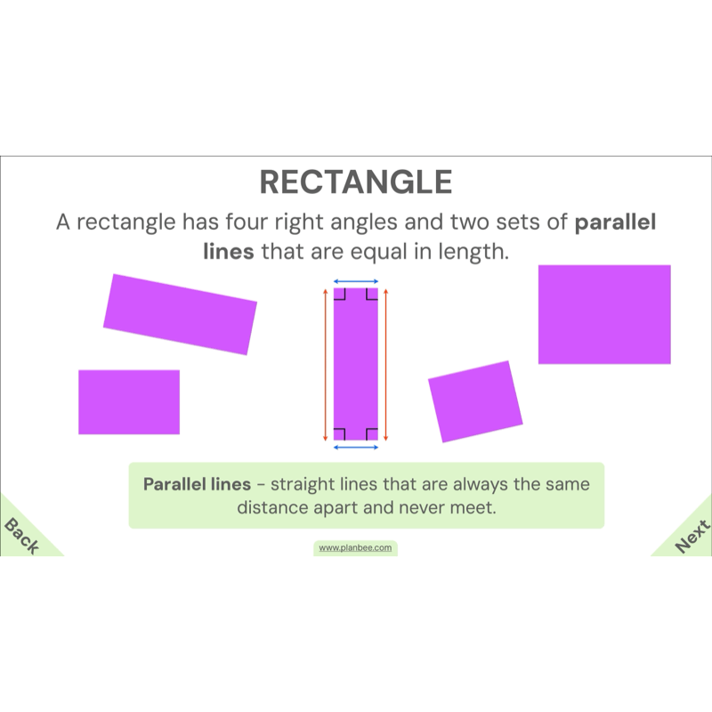 PlanBee Year 4 Properties of 2D Shapes KS2 Maths by PlanBee