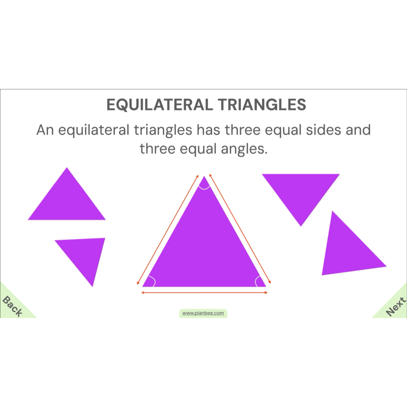 PlanBee Year 4 Properties of 2D Shapes KS2 Maths by PlanBee