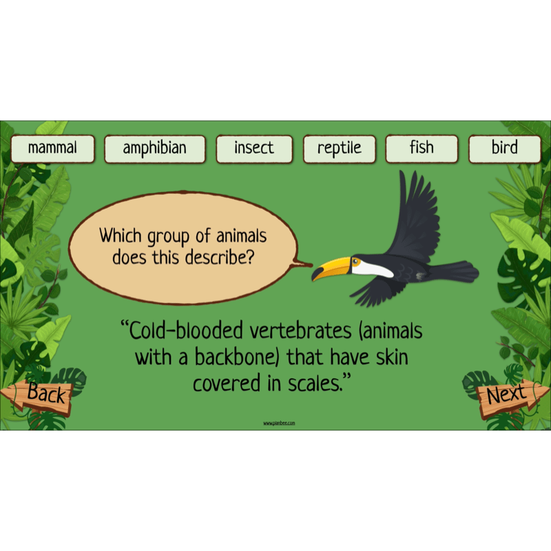 PlanBee Rainforest Habitats KS2 Science Lesson Pack
