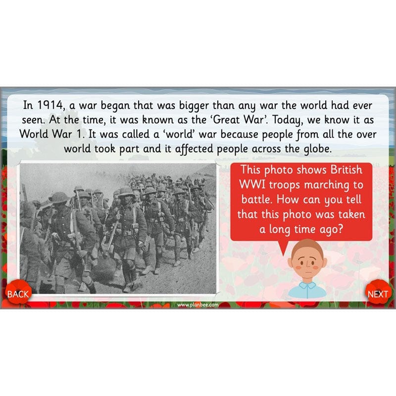 PlanBee KS1 Remembrance Day Lesson | Year 2 History Planning