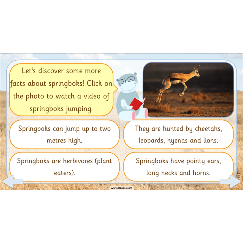 PlanBee Safari Adventures KS1 | English Lesson Pack