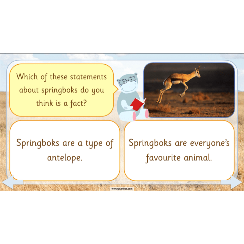 PlanBee Safari Adventures KS1 | English Lesson Pack