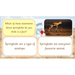 PlanBee Safari Adventures KS1 | English Lesson Pack
