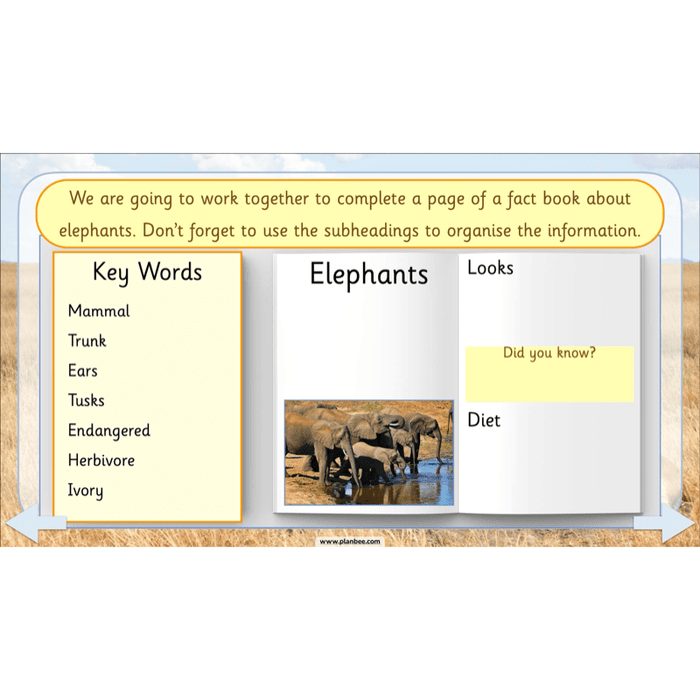 PlanBee Safari Adventures KS1 | English Lesson Pack