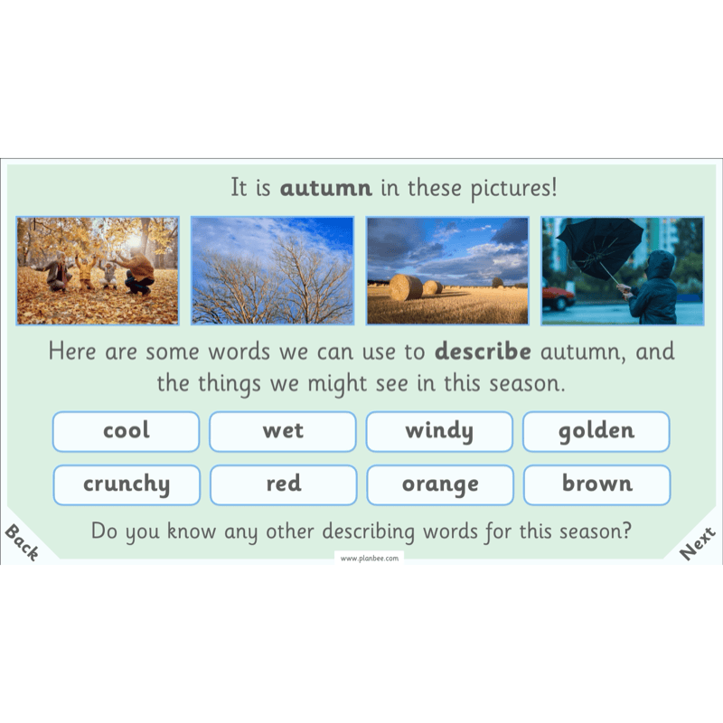 PlanBee Season Diaries | Year 1 English