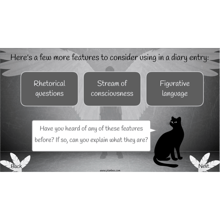 PlanBee Skellig Diary Entries KS2 | Year 6 English Lesson Pack