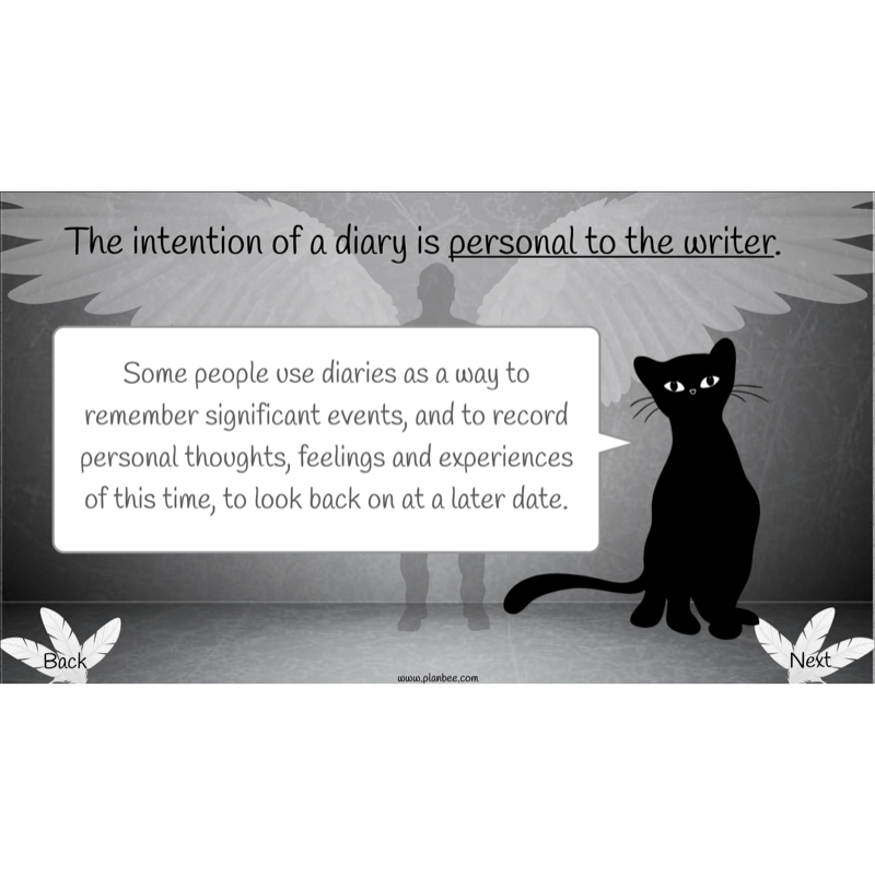 PlanBee Skellig Diary Entries KS2 | Year 6 English Lesson Pack