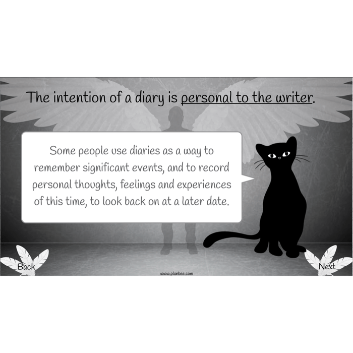 PlanBee Skellig Diary Entries KS2 | Year 6 English Lesson Pack