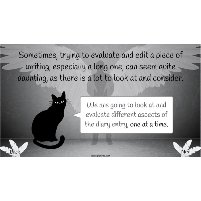 PlanBee Skellig Diary Entries KS2 | Year 6 English Lesson Pack