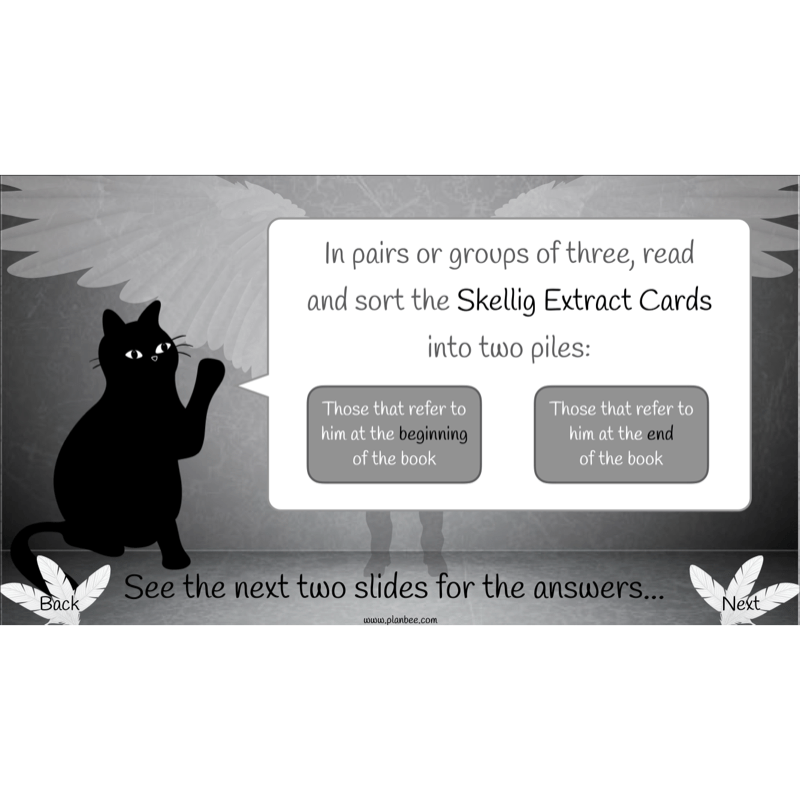 PlanBee Skellig: Narrative