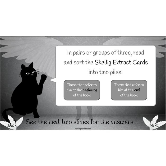 PlanBee Skellig: Narrative