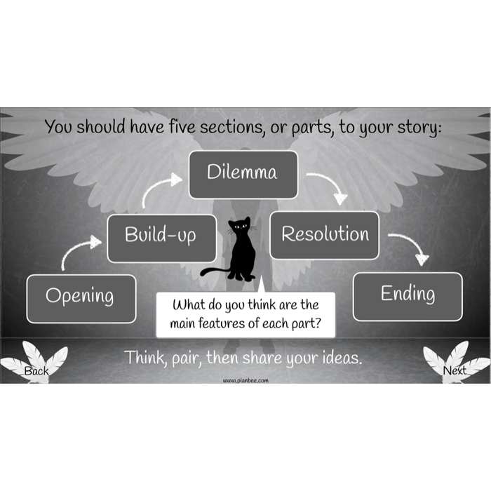 PlanBee Skellig: Narrative