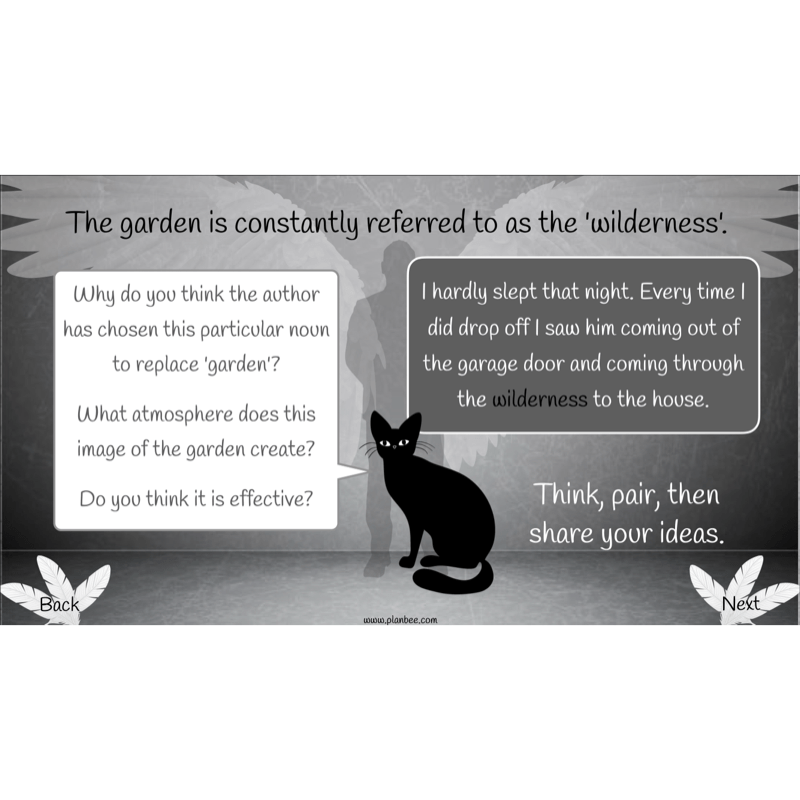 PlanBee Skellig: Narrative