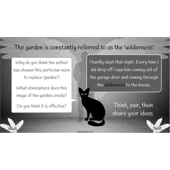 PlanBee Skellig: Narrative