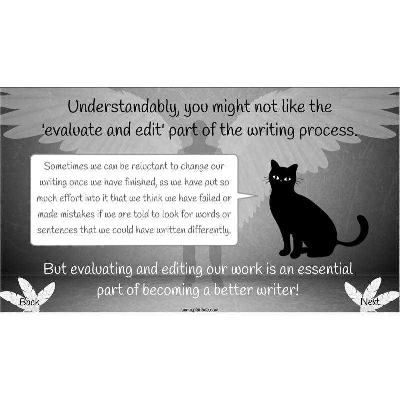 PlanBee Skellig: Narrative