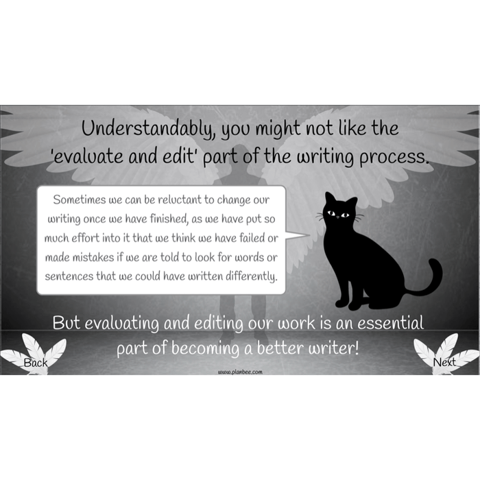 PlanBee Skellig: Narrative