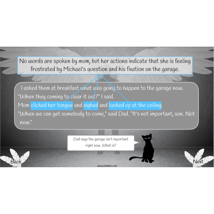 PlanBee Skellig: Reading Comprehension