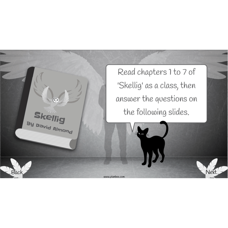 PlanBee Skellig: Reading Comprehension